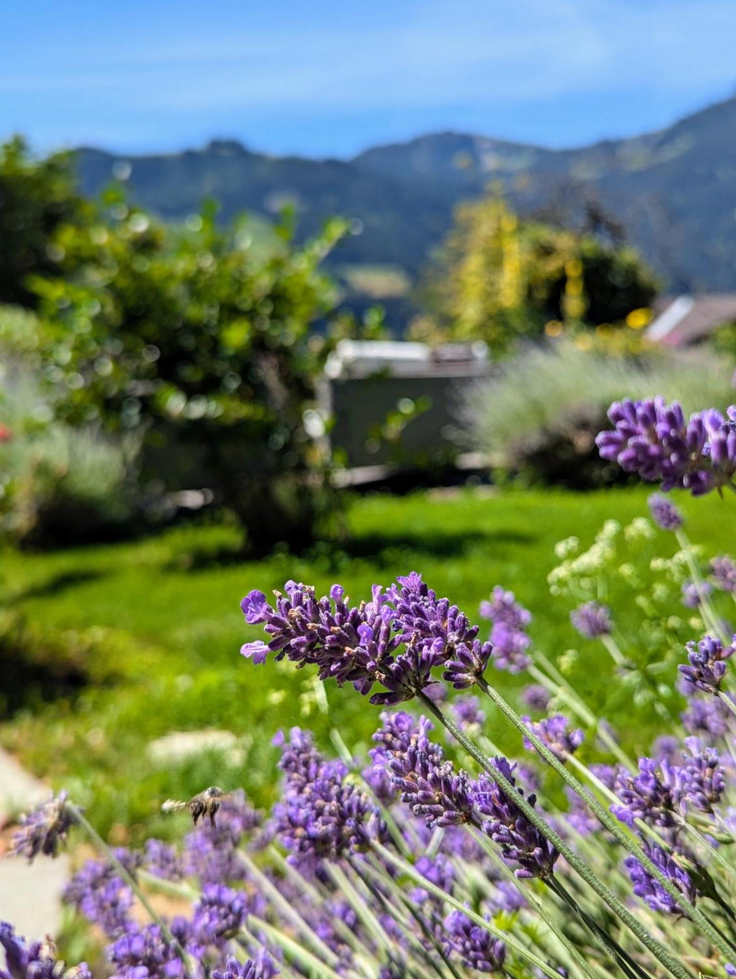 Swiss Mountain-Valley View Lodge Erlenbach im Simmental Buitenkant foto