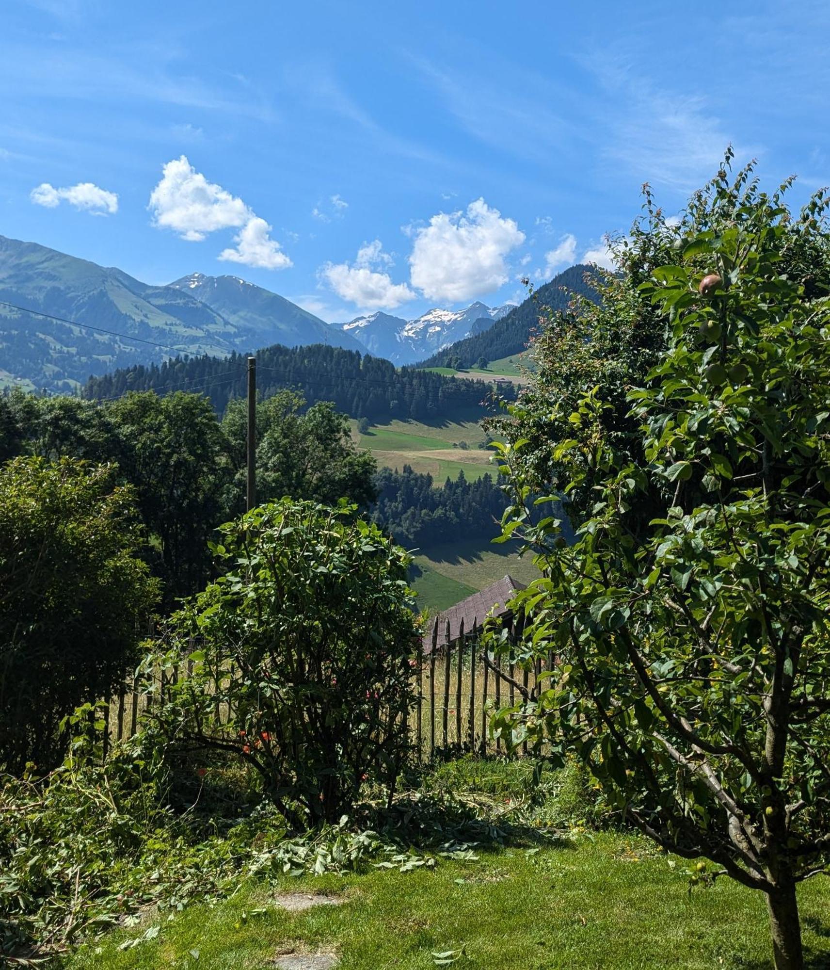Swiss Mountain-Valley View Lodge Erlenbach im Simmental Buitenkant foto
