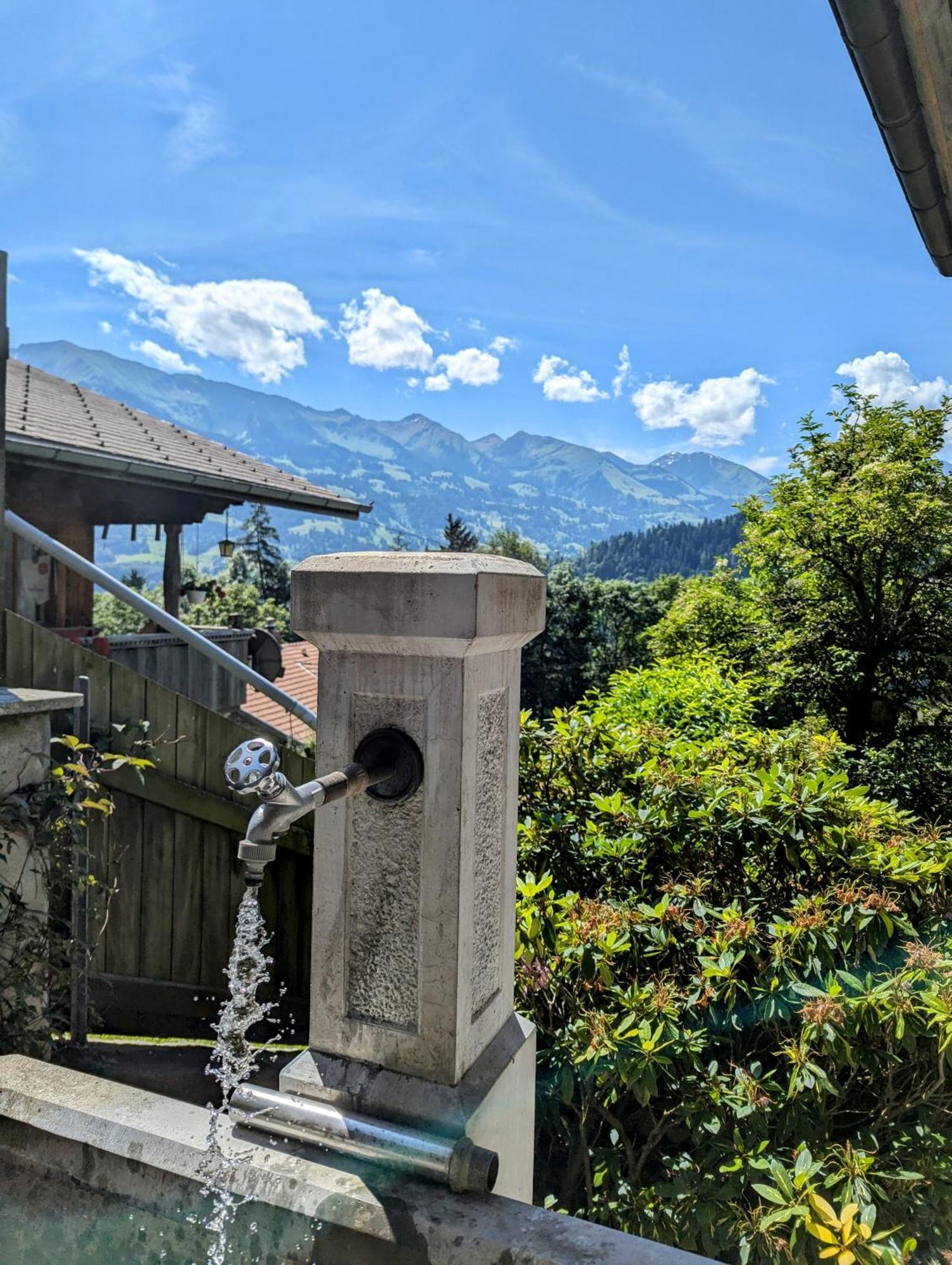 Swiss Mountain-Valley View Lodge Erlenbach im Simmental Buitenkant foto