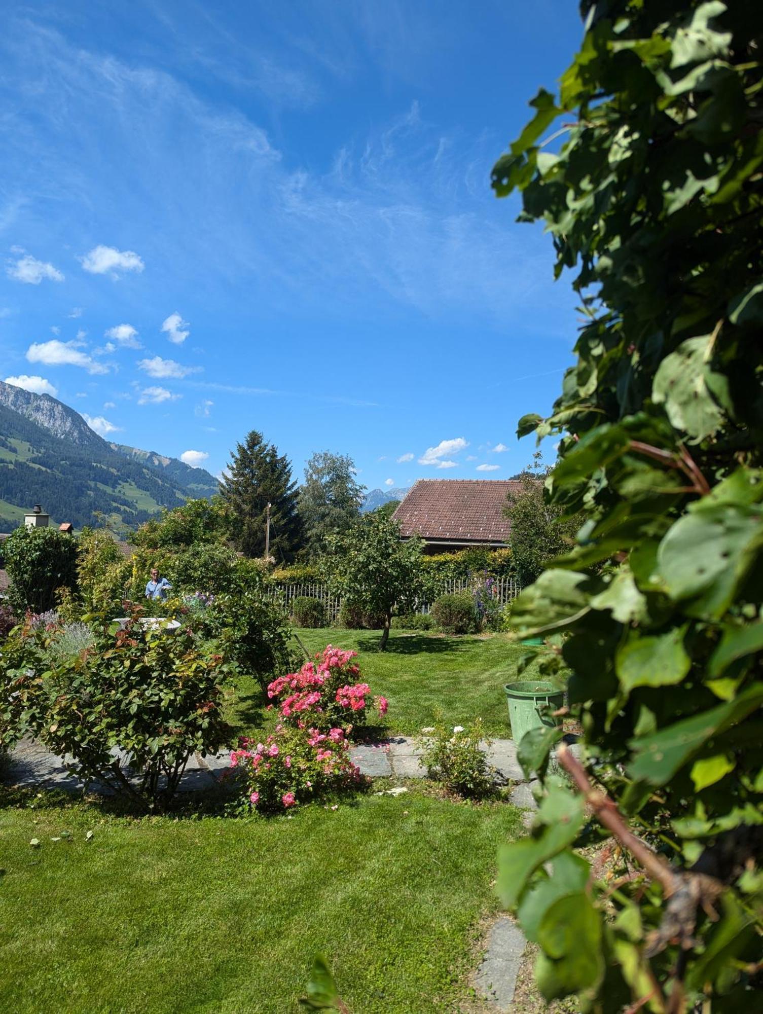 Swiss Mountain-Valley View Lodge Erlenbach im Simmental Buitenkant foto