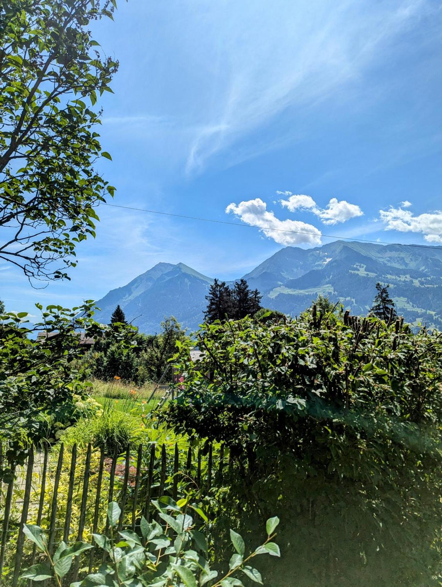 Swiss Mountain-Valley View Lodge Erlenbach im Simmental Buitenkant foto