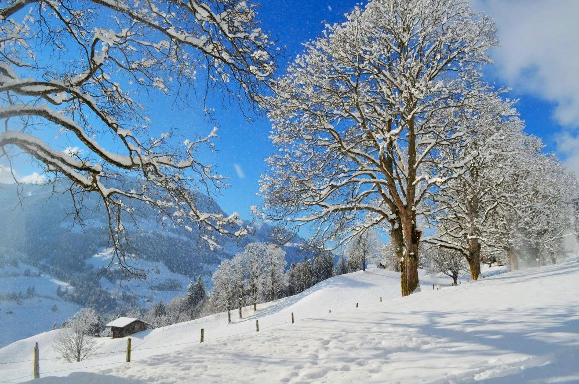 Swiss Mountain-Valley View Lodge Erlenbach im Simmental Buitenkant foto