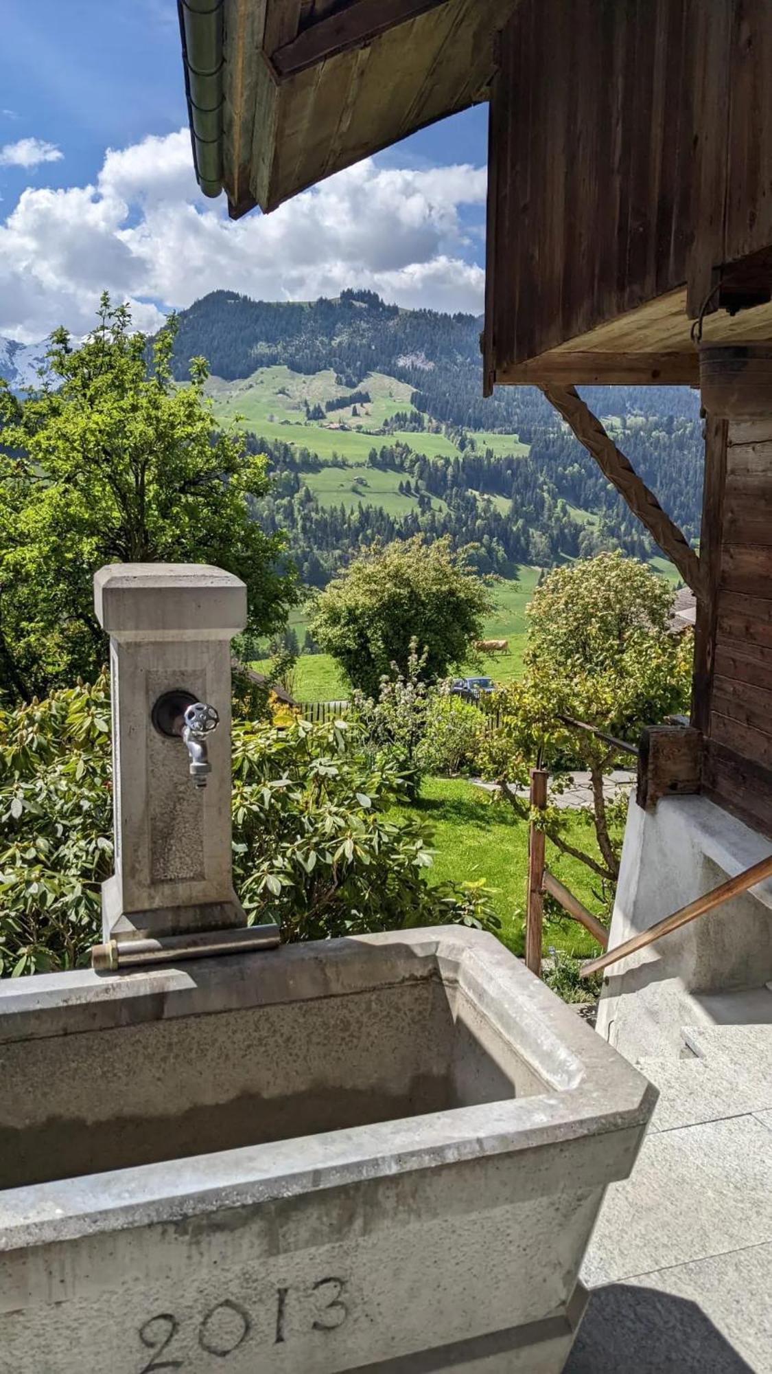 Swiss Mountain-Valley View Lodge Erlenbach im Simmental Buitenkant foto