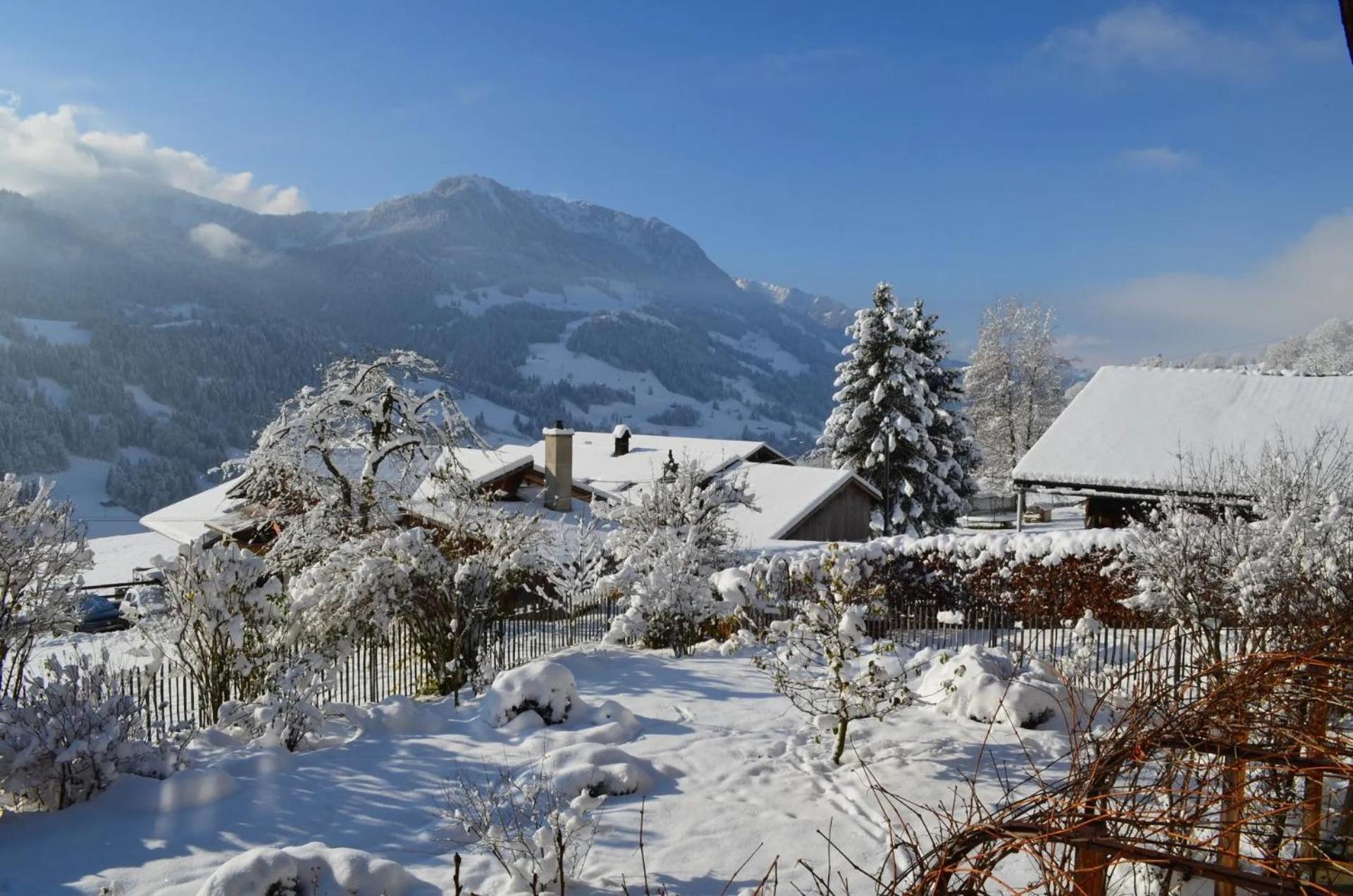 Swiss Mountain-Valley View Lodge Erlenbach im Simmental Buitenkant foto
